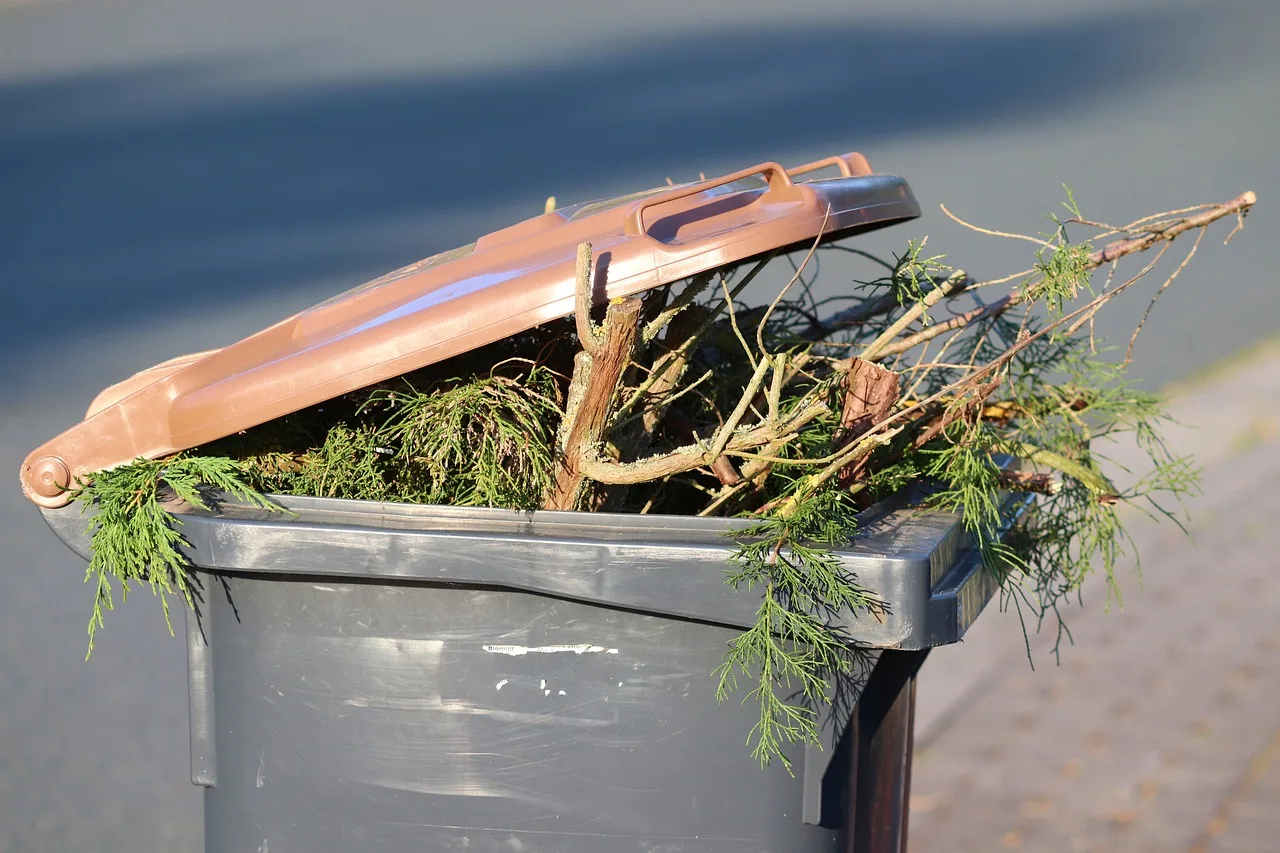 Skip Hire for Garden Waste